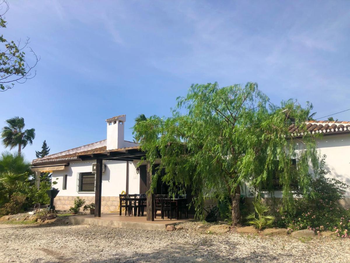 Las Palmeras Pizarra Exterior photo